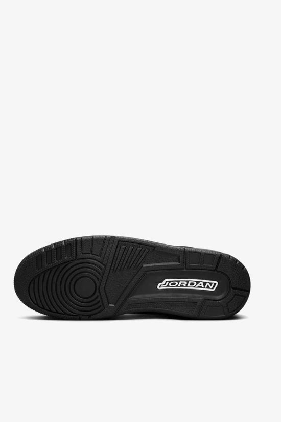 Air Jordan 3 Black Cat 2025