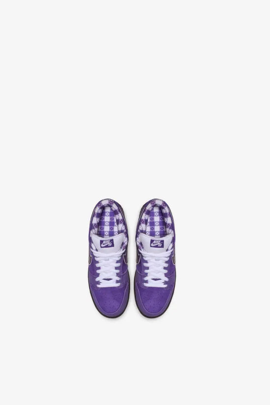 Nike Sb Dunk Low Concepts Purple Lobster-Mole-Resell