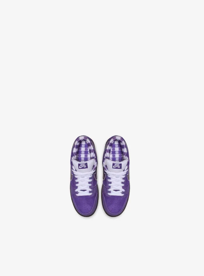 Nike Sb Dunk Low Concepts Purple Lobster-Mole-Resell